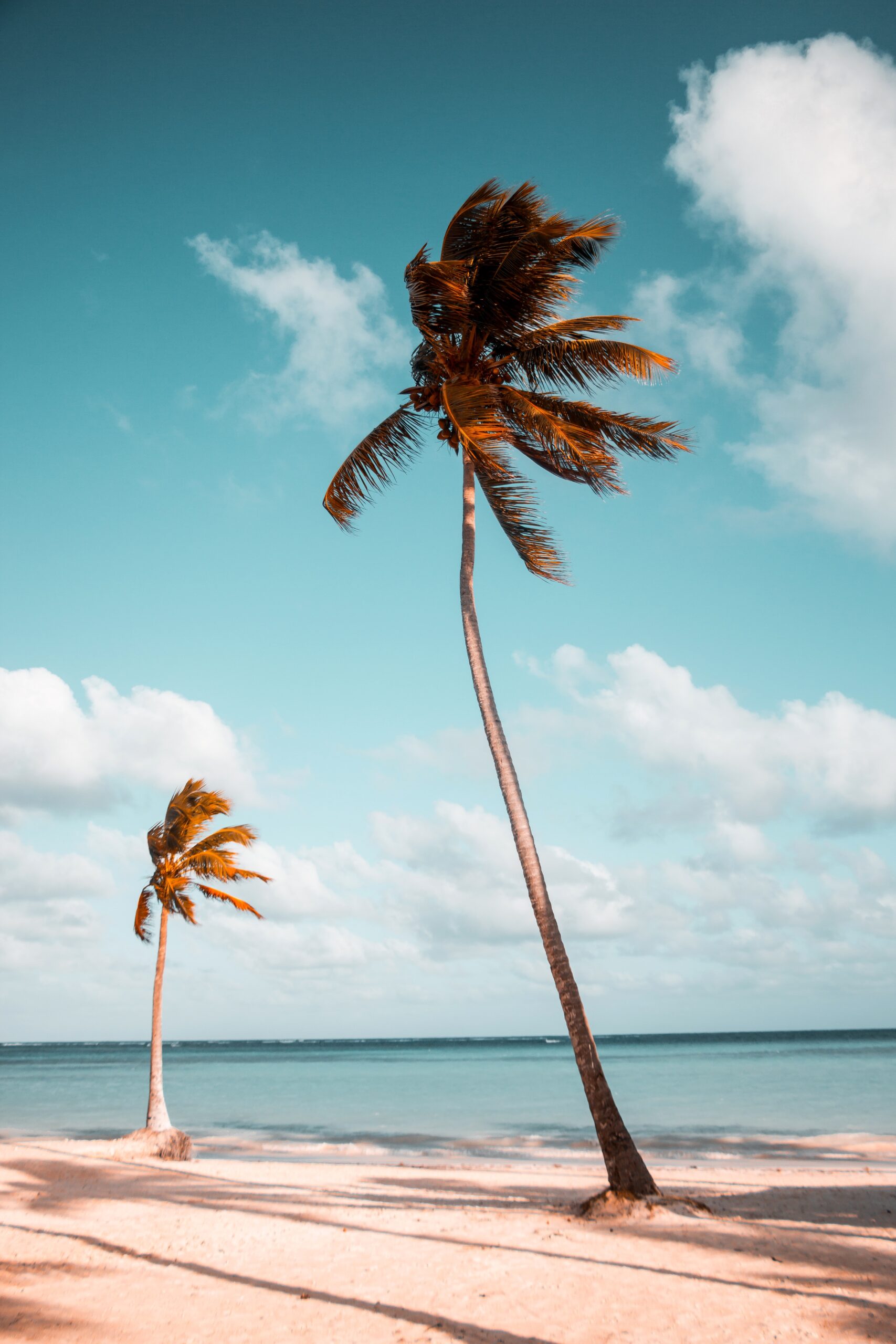 <br />
<b>Warning</b>:  Undefined variable $image in <b>/home/hcnchpff/public_html/hcnconnect.in/employee/wp-content/themes/hcnconnect/single-user_info.php</b> on line <b>149</b><br />
<br />
<b>Warning</b>:  Trying to access array offset on value of type null in <b>/home/hcnchpff/public_html/hcnconnect.in/employee/wp-content/themes/hcnconnect/single-user_info.php</b> on line <b>149</b><br />
